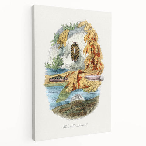 Romanticism Art: Volcano Limpet Snail Wall Art for Home Decor