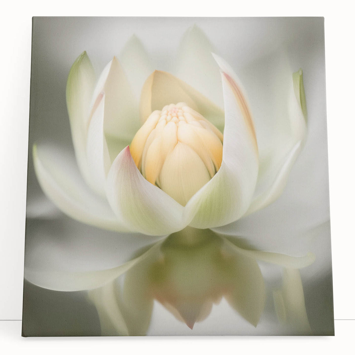 Serene Lotus Flower Living Room Wall Art – Framed Canvas Print