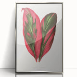 Romanticism Art: Dracaena Terminalis Pink Botanical Wall Art