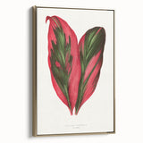 Romanticism Art: Dracaena Terminalis Pink Botanical Wall Art