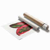 Romanticism Art: Dracaena Terminalis Pink Botanical Wall Art