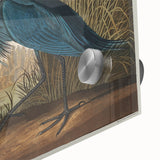 Blue Crane Heron Romanticism Art - Historical Romantic Canvas Print