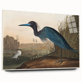 Blue Crane Heron Romanticism Art - Historical Romantic Canvas Print
