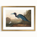 Blue Crane Heron Romanticism Art - Historical Romantic Canvas Print
