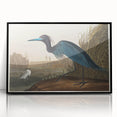Blue Crane Heron Romanticism Art - Historical Romantic Canvas Print