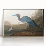 Blue Crane Heron Romanticism Art - Historical Romantic Canvas Print