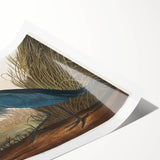 Blue Crane Heron Romanticism Art - Historical Romantic Canvas Print