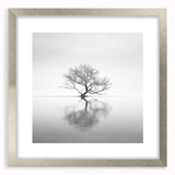 Acrylic Dining Room Artwork - Black and White Nature Reflection