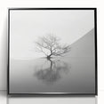 Acrylic Dining Room Artwork - Black and White Nature Reflection