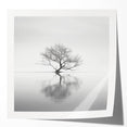 Acrylic Dining Room Artwork - Black and White Nature Reflection