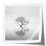 Acrylic Dining Room Artwork - Black and White Nature Reflection
