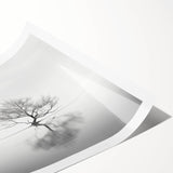 Acrylic Dining Room Artwork - Black and White Nature Reflection