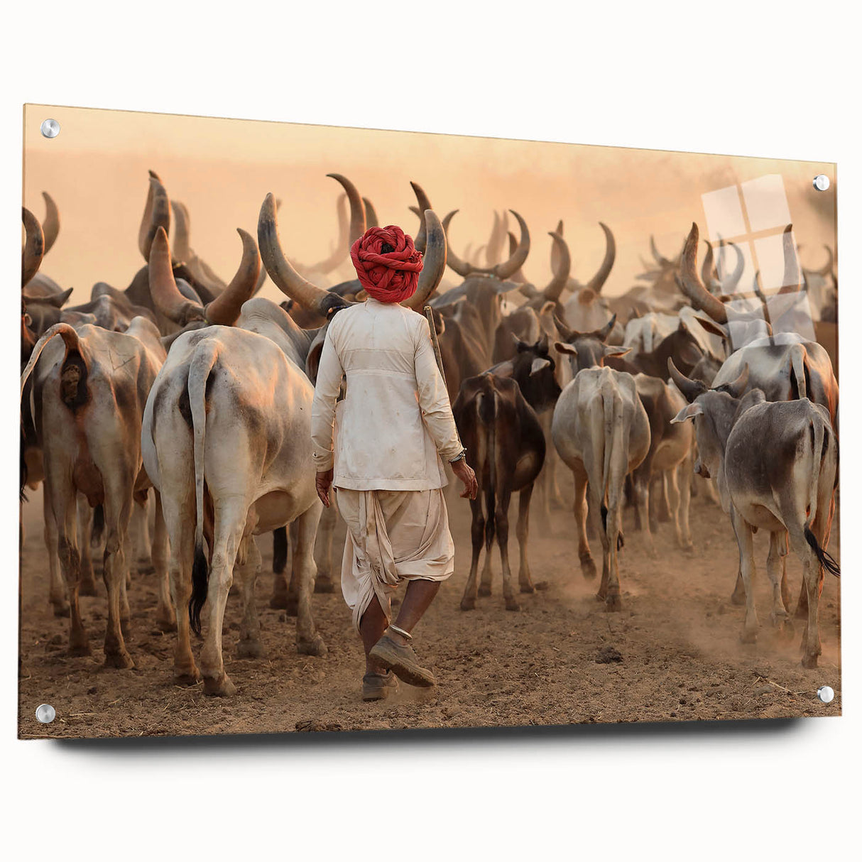 Large abstract wall art depicting an Asian scenery in India, rendered on acrylic glass with vibrant color palette.
