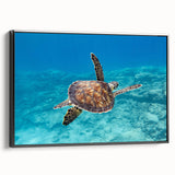 Black and white framed canvas of a vintage-style Cyprus landscape, ideal for bedroom wall decor.