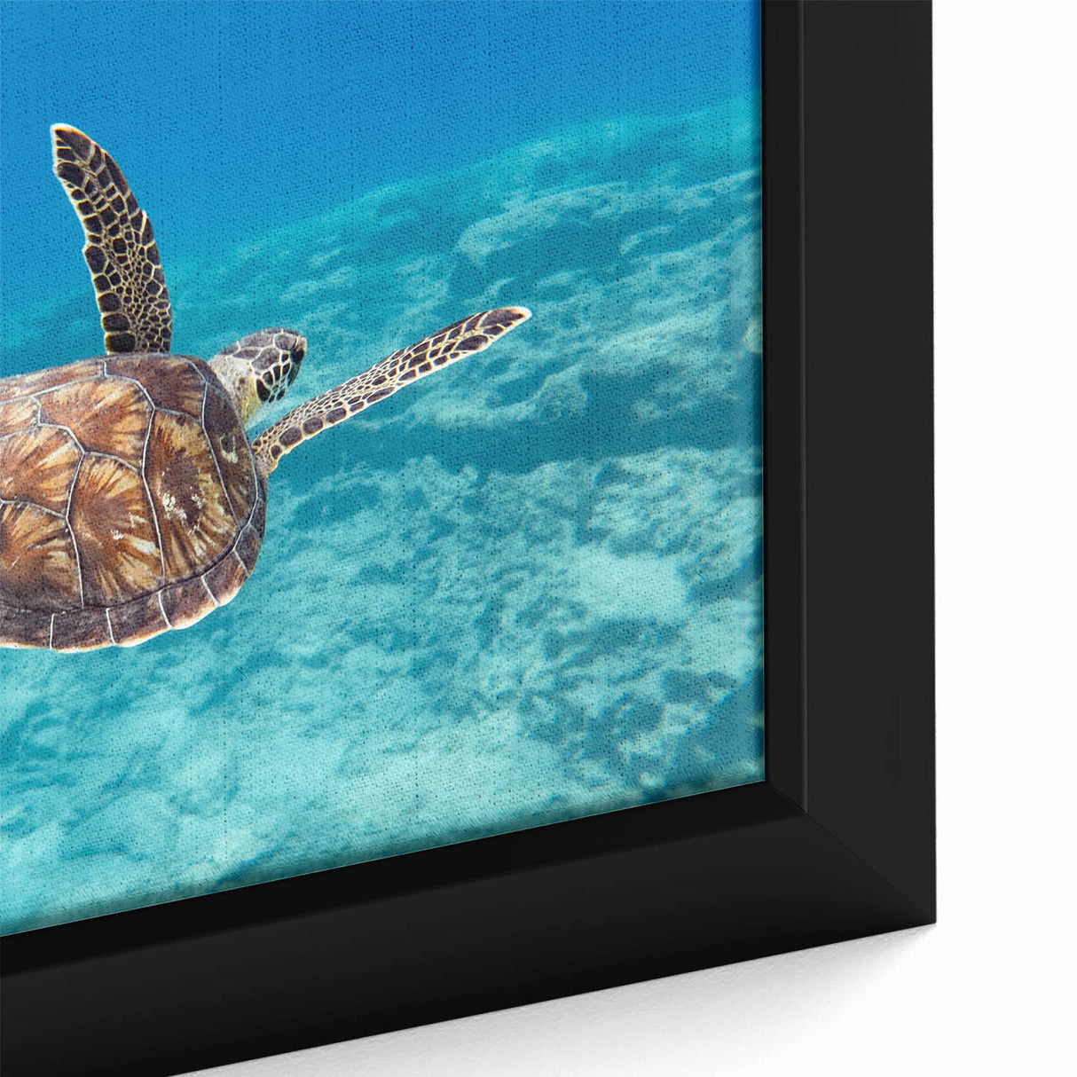 Black wall art featuring a textured portrayal of a European Cyprus scenery on a framed canvas, with vibrant color accents.