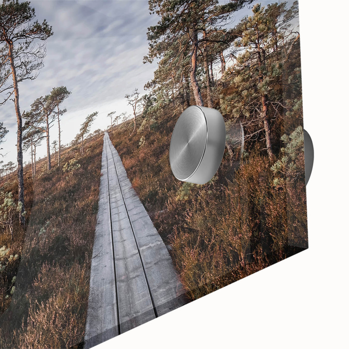 Large abstract wall art depicting a European Estonian landscape in muted earth tones on acrylic glass.