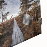Large abstract wall art depicting a European Estonian landscape in muted earth tones on acrylic glass.