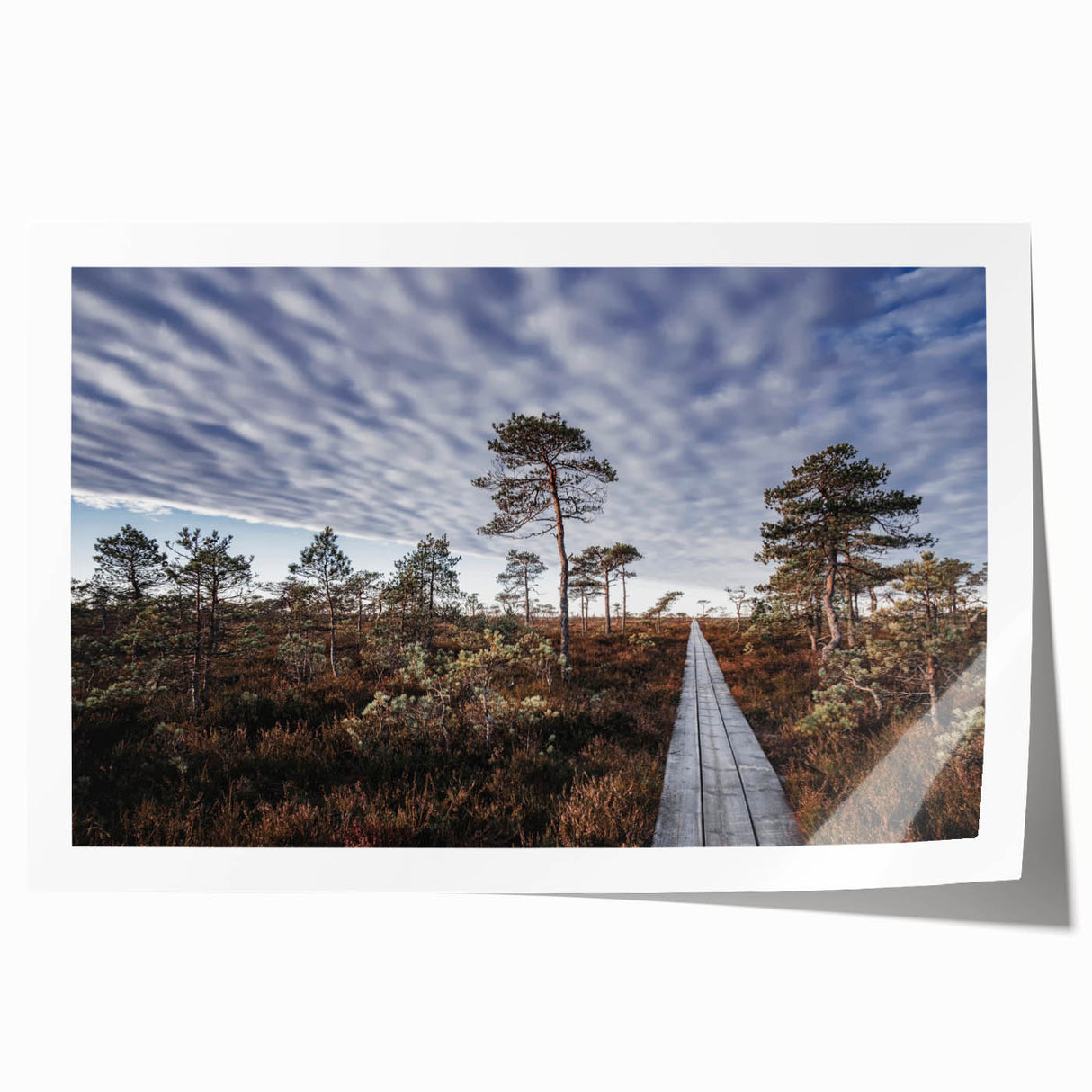 Extra large rolled print of a European scenery in Estonia, showcasing vibrant floral elements.