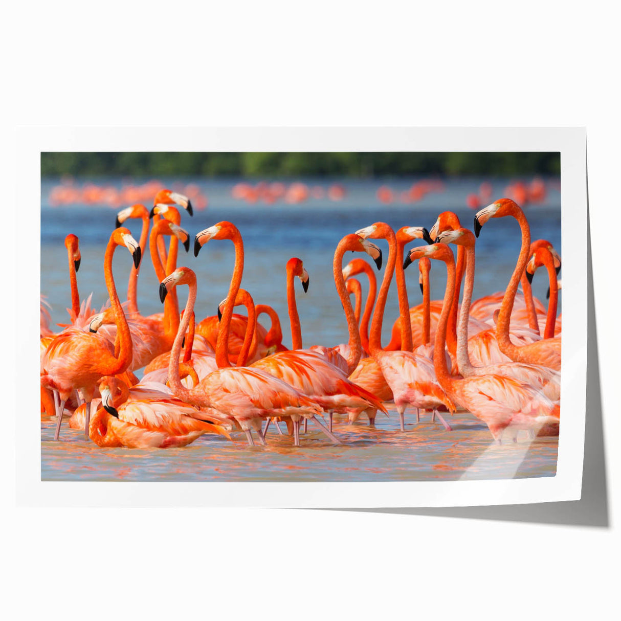Extra large rolled print of Yucatán scenery with vibrant floral elements, suitable for dining room wall art.