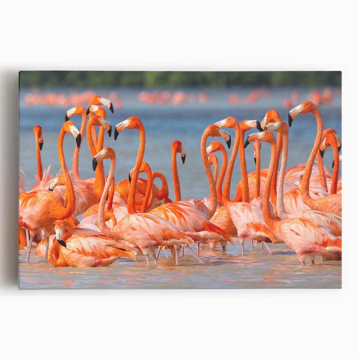 Black and white stretched canvas featuring a serene Yucatán landscape, ideal for kitchen art.