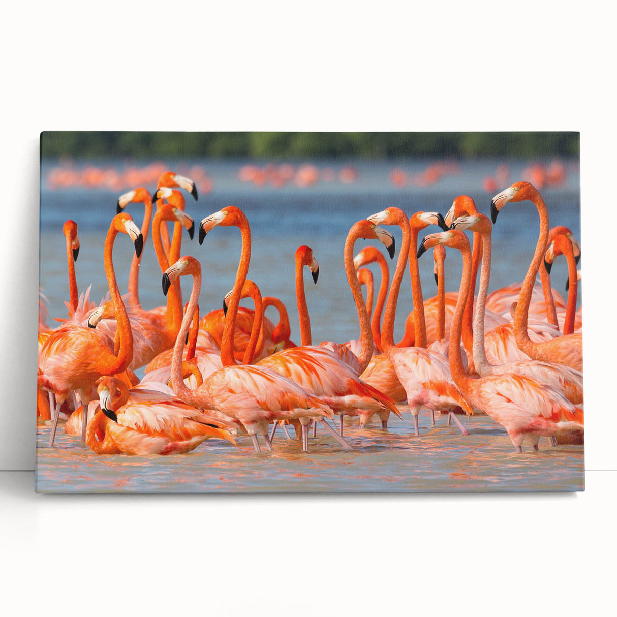 Black and white photograph of Yucatan scenery on stretched canvas, ideal for kitchen wall art.