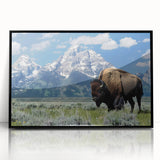 Large abstract wall art of Wyoming's Grand Tetons in black and white tones, framed acrylic, suited for modern art wall decor.