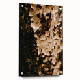 Large abstract wall art on acrylic glass depicting swirls in autumnal hues, ideal for bedroom or dining room decor.