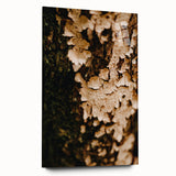 Large abstract wall art in warm autumn hues on acrylic glass, ideal for bedroom or dining room decor.