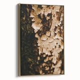 Framed canvas wall art featuring a vintage landscape painting of autumn trees in gold and black tones.
