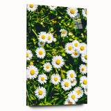 Large abstract wall art on acrylic glass depicting spring themes in soft pastel colors.