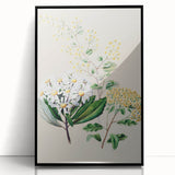 Fine Art Realism: Antique Botanical Floral Illustration Wall Art Canvas