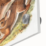 Romanticism Art: Northern Hares - Classic Romantic Wildlife Canvas