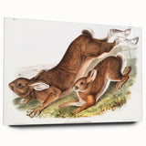 Romanticism Art: Northern Hares - Classic Romantic Wildlife Canvas