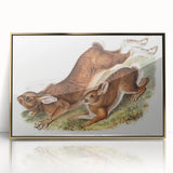 Romanticism Art: Northern Hares - Classic Romantic Wildlife Canvas