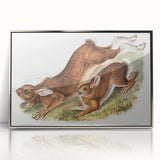 Romanticism Art: Northern Hares - Classic Romantic Wildlife Canvas