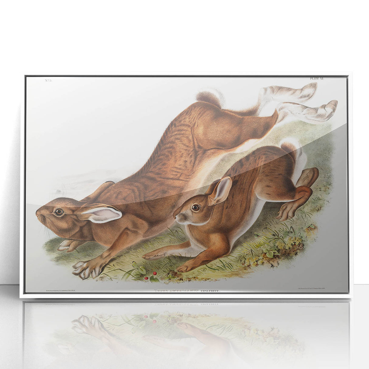 Romanticism Art: Northern Hares - Classic Romantic Wildlife Canvas