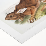 Romanticism Art: Northern Hares - Classic Romantic Wildlife Canvas