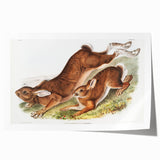 Romanticism Art: Northern Hares - Classic Romantic Wildlife Canvas