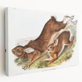 Romanticism Art: Northern Hares - Classic Romantic Wildlife Canvas