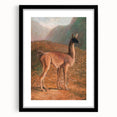 Romanticism Art: Guanaco by Agasse - Classic Wildlife Canvas Print
