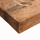 Romanticism Art: Guanaco by Agasse - Classic Wildlife Canvas Print