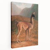 Romanticism Art: Guanaco by Agasse - Classic Wildlife Canvas Print