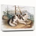 Romanticism Art: Hare Indian Dog by Audubon - Wildlife Canvas Print