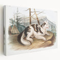 Romanticism Art: Hare Indian Dog by Audubon - Wildlife Canvas Print