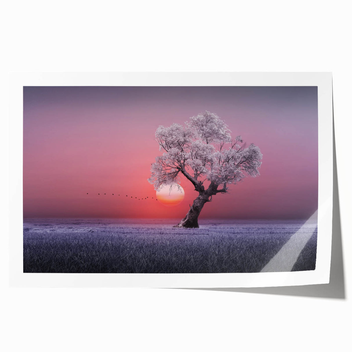 Vivid landscape print showcasing rolling green fields under a bright blue sky, expertly rolled and packaged in a protective tube, ideal for home decor.