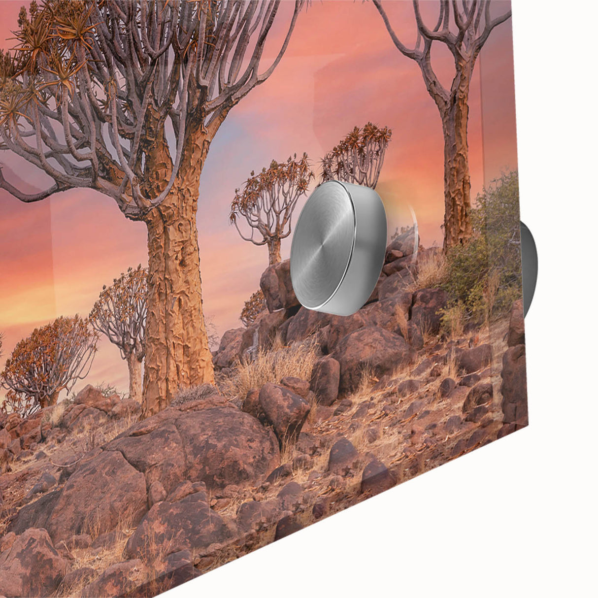 Large abstract wall art of Namibian scenery in muted earth tones on acrylic glass, ideal for dining room ambiance.