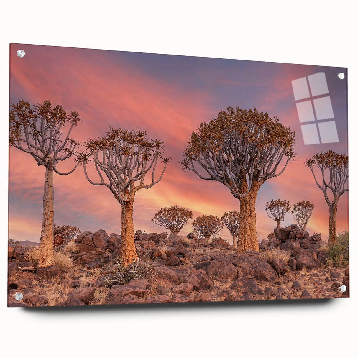 Acrylic print of an abstract Namibian landscape in earth tones, suitable for bedroom or dining room decor.