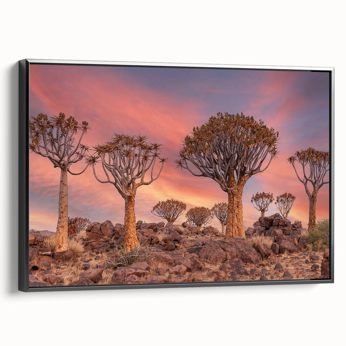 Black and white landscape art painting of Namibian scenery on framed canvas, suitable for bedroom wall decor.