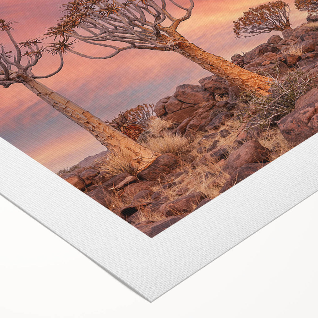 Art deco poster depicting a serene Namibian landscape on rolled canvas, suitable for dining room ambiance.