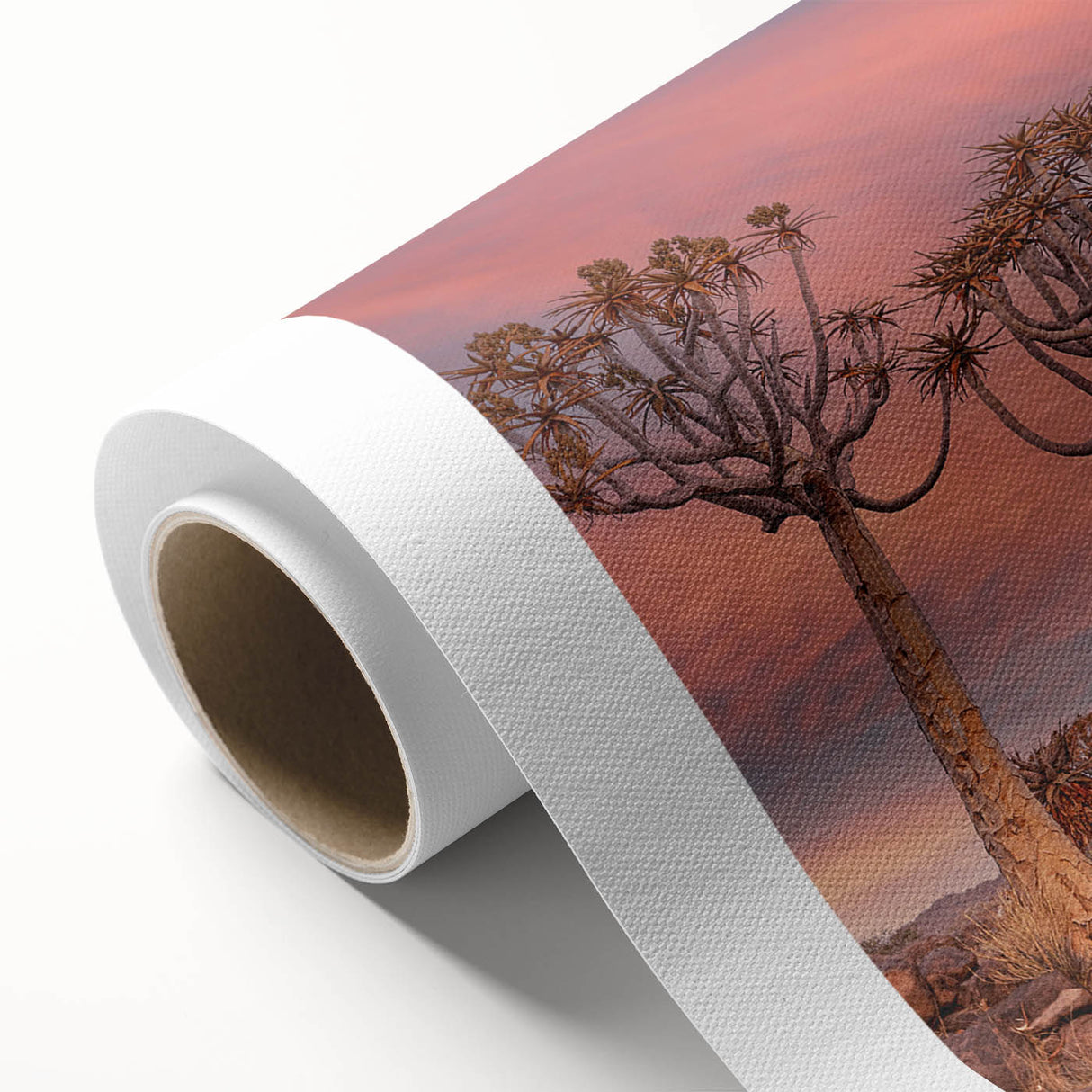 Art Deco poster of Namibian landscape in soft earth tones on rolled canvas.